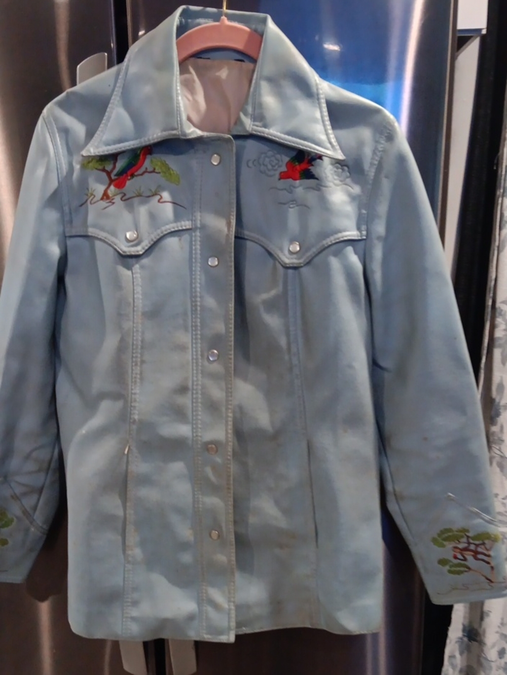 Light Blue Embroidered Women's Leather Jacket
